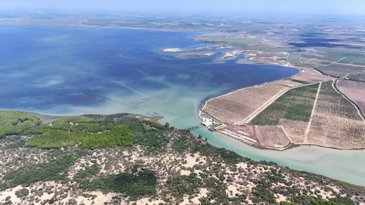 Çukurova Deltası’ndaki lagünler,  kış aylarında da çok sayıda kuş türüne ev sahipliği yapıyor 4