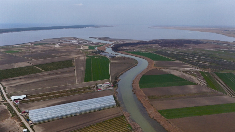 Çukurova Deltası’ndaki lagünler,  kış aylarında da çok sayıda kuş türüne ev sahipliği yapıyor 5
