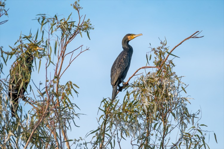 "ÇEVREYE KARŞI BİLİNCİN ARTMASI VE İYİ TARIM UYGULAMALARINA GEÇİLMESİ GEREKMEKTEDİR"