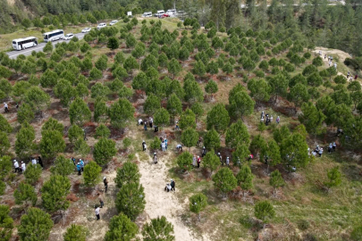 Doğayı korumak için yerelden başlayan iş birliği