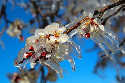Doğu’da çığ, iç kesimlerde don! Meteoroloji’den hayati uyarı