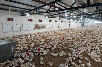 Üretimin ayak sesleri Karakütük’ten yükseliyor