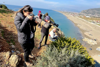 Kuşların yolu, kaplumbağaların yuvası: Milleyha’da doğa buluşması