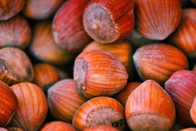 FİSKOBİRLİK Olağan Mali Genel Kurulu Giresun'da yapıldı