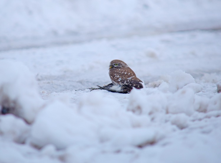 EZBER BOZAN GÖRÜNTÜLER