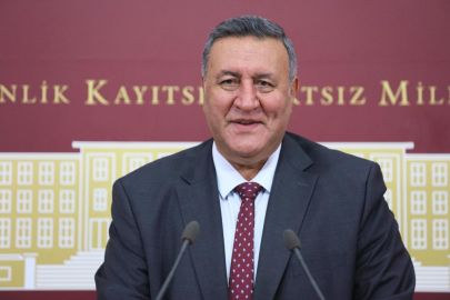 Gürer: Girdi maliyetleri tarımı bitirme noktasına getirdi
