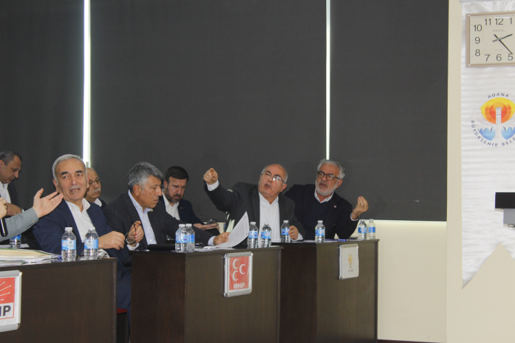 Adana Büyükşehir Belediye Meclisi 