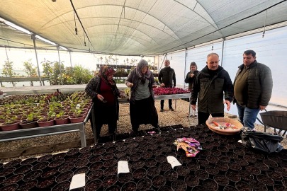 Adana’da ağaçlandırmanın kalbi Köprüköy’de atıyor