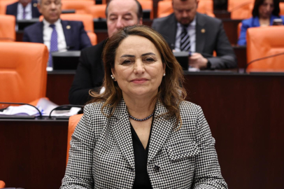 Dr. Müzeyyen Şevkin Kartalkaya faciasını meclis gündemine taşıdı