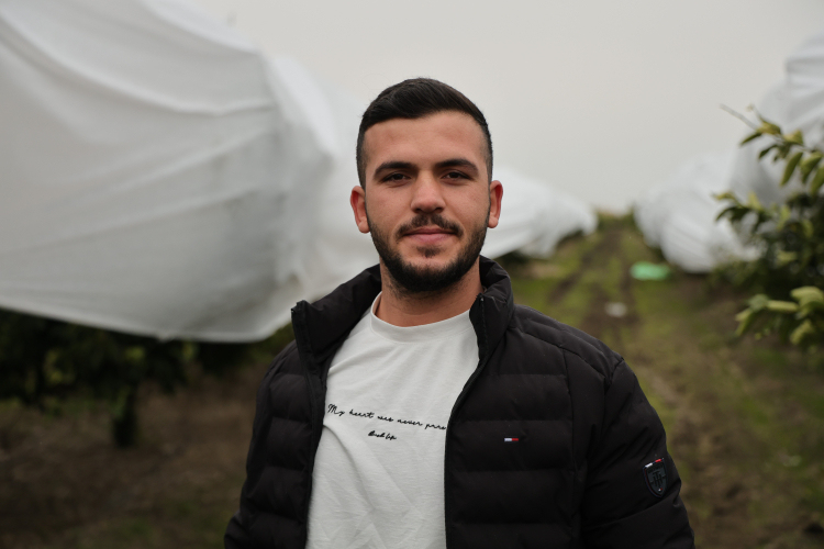 Adanada zirai dondan korunmak için limon bahçesine fileli önlem 2