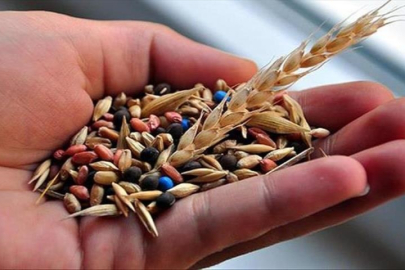 Muğla'dan üreticilere uzanan tohum bereketi
