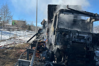 Adana’da narenciye yüklü tır alevlere teslim oldu