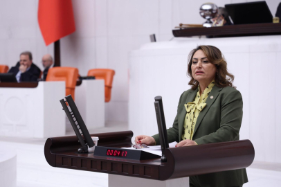 Dr. Şevkin, Adana’nın Kuzey ilçelerin yatırım ve hizmet eksikliklerini mecliste gündeme getirdi