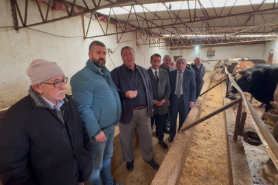 Gürer: Türkiye’de büyükbaş hayvan sayısı hızla düşüyor