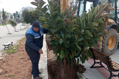 Karataş Belediyesi, ilçeyi ağaçlandırma projeleriyle güzelleştiriyor