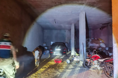 Şanlıurfa’da çalıntı otomobil ahırda bulundu