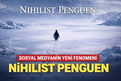NİHİLİST PENGUEN OLAYI NEDİR? SÜRÜDEN AYRILAN PENGUENİN HİKAYESİ