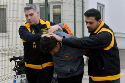 Adana’da kedilerin üzerinden geçtiği iddia edilen sürücüye barınakta çalışma cezası