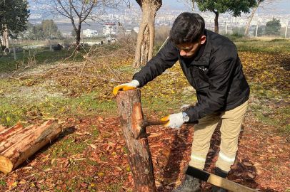 'Yeşil Vatan’da sessiz tehlikeye karşı seferberlik