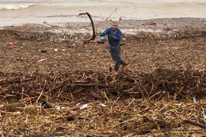 Mersin'de sel sonrası deniz kahverengi oldu, sahiller odun doldu