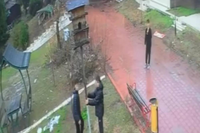 Adana'da parktaki kuş yuvasını parçaladılar