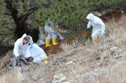 Çorum’da 6 gün sonra dehşet: Yaşlı adamın cesedi parçalanmış halde bulundu