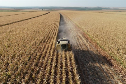 2026 Ocak ayında girişimcilere 114,4 milyon lira hibe aktarıldı