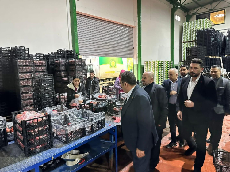 AK Parti Adana Milletvekili ve TBMM Tarım, Orman ve Köyişleri Komisyonu Üyesi Abdullah Doğru