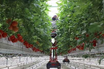 IPARD-III kapsamında 214 projeye 1,7 milyar lira hibe verilecek