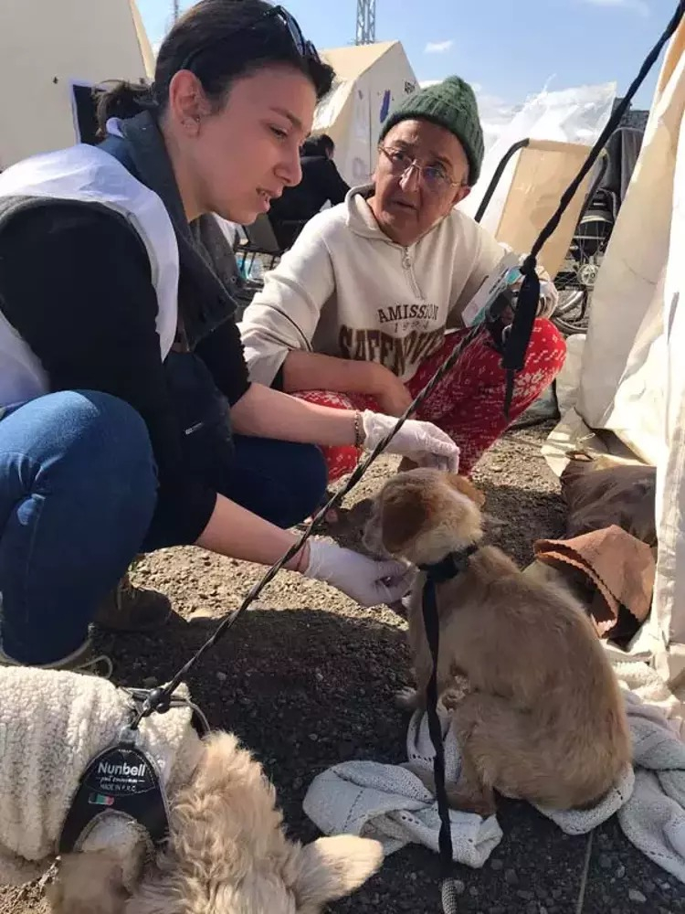 Adana Veteriner Hekimleri Odası
