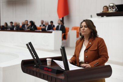 Dr. Şevkin: Aynı acıların yaşanmaması için afet yasası günün koşullarına göre yenilenmeli