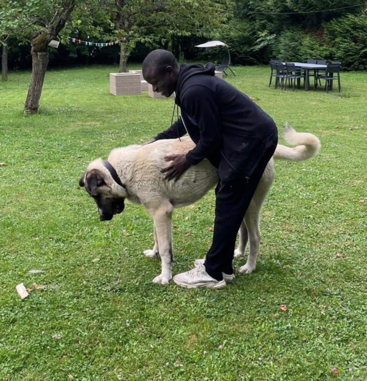 Fenerbahçe'nin yeni yıldızı Kante için Hatun Anne konuştu O gelir beni bulur 4