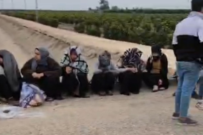 Adana’da midibüs ile traktör çarpıştı: 1’i ağır 7 tarım işçisi yaralı