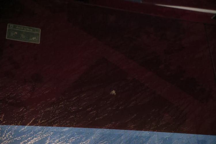 Trabzonspor takım otobüsüne Samsun'da taşlı saldırı 2