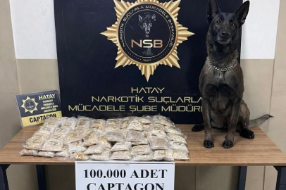 Hatay'da  zeytinyağı tenekelerinden zehir çıktı