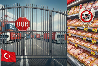 Tavuk ihracatı yasaklandı: Bakanlık fiyatlara müdahale etti
