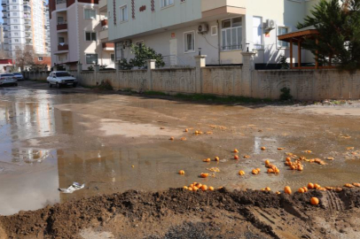 Kozan’da rögar çilesi: 10 gündür sokaklar lağım sularıyla dolu