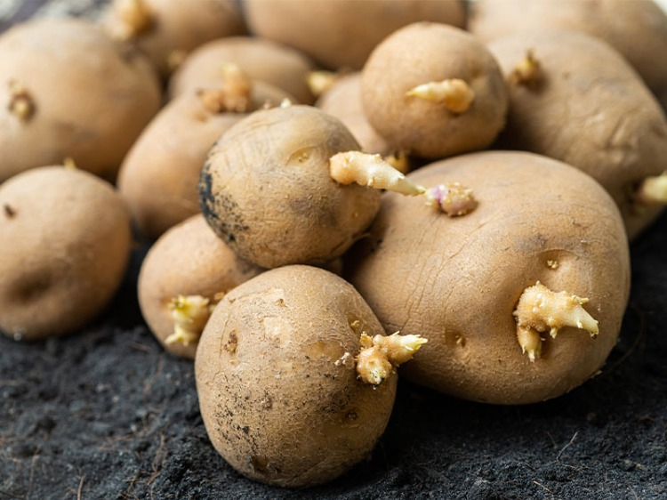 Hangi Durumda Çöpe Atılmalı?