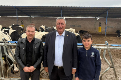 Gürer: Türkiye’de küçük hayvancılık işletmeleri ve kooperatifler yok oluyor