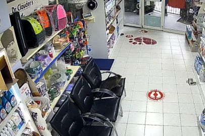 İstanbul'da veteriner kliniğine torpil atan çocuklar kamerada