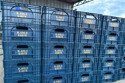 Kasa Kasa Kante! Serik’te Hasat Sarı-Lacivert