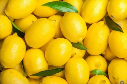 Sosyal medya akımı mercek altında: Gece içilen zeytinyağı ve limon karışımı gerçekten etkili mi?