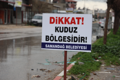 SAMANDAĞ’DA KUDUZ ALARMI: 4 MAHALLE KARANTİNADA