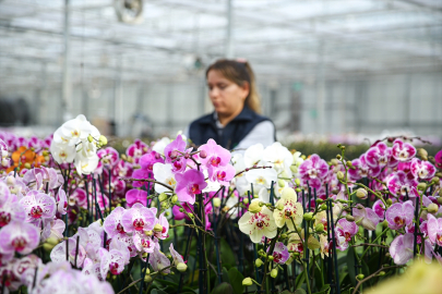 Çukurova’da Sevgililer Günü hareketliliği