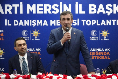 Cumhurbaşkanı Yardımcısı Yılmaz: Terörsüz Türkiye ile demokrasi ve kalkınmada yeni dönem başlıyor