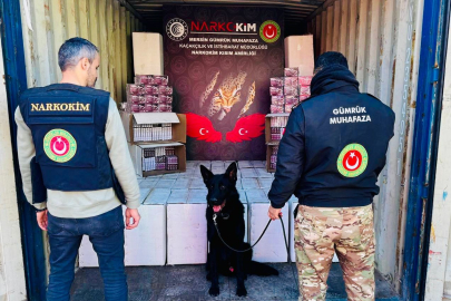 Gümrük operasyonlarında 4,6 milyar lira değerinde ilaç ve uyuşturucu madde ele geçirildi