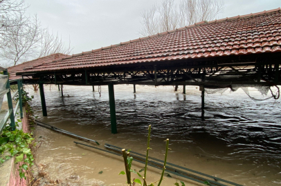 Köprüçay ırmağı taştı, iş yerleri ve tarım arazileri zarar gördü
