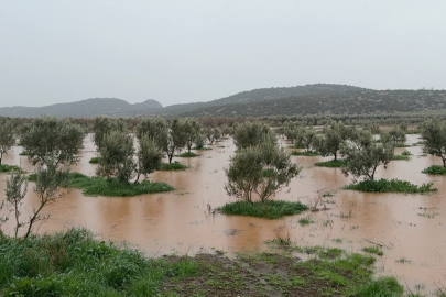 Osmaniye'de sağanak nedeniyle evleri ve tarım arazilerini su bastı