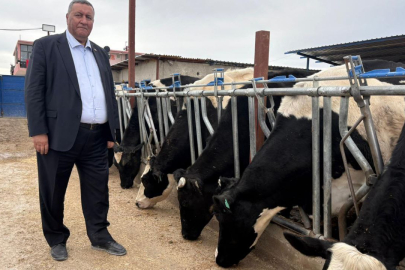 Gürer: Türkiye, 2025'te tarihinin en yüksek ikinci canlı hayvan ithalat faturasıyla karşı karşıya kaldı