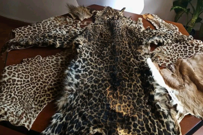 Lübnan’dan gelen yolcunun bavulunda şok eden görüntü